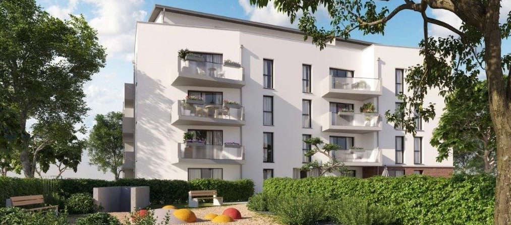 Image_principale_du_programme_Pando_a_Toulouse